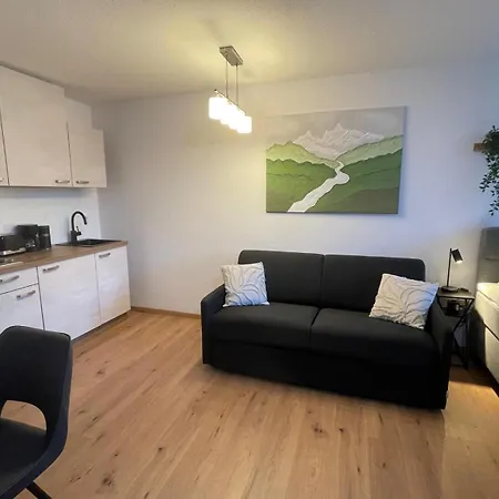 Ausblick In Den Bayerischen Wald - Moderne Sankt Englmar